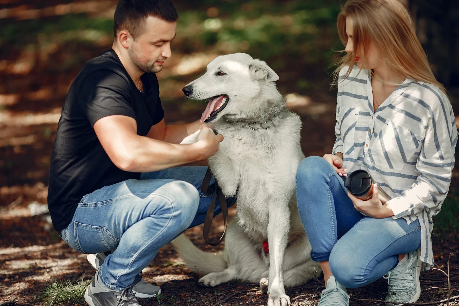 Happy dog with owner