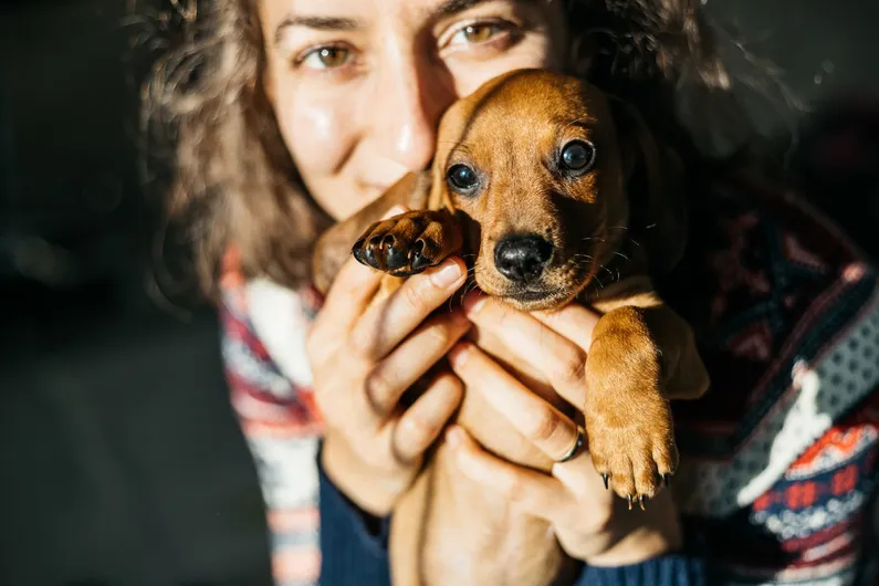 A pet owner playing with their dog at a park