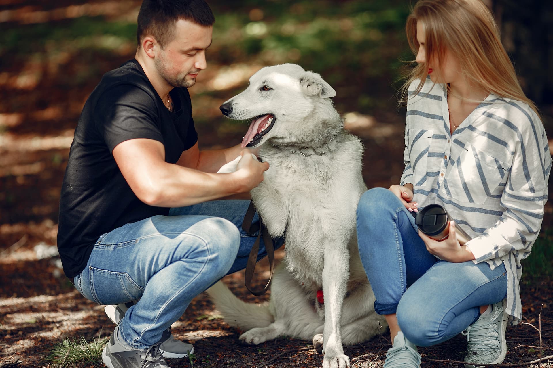 Dog with couple